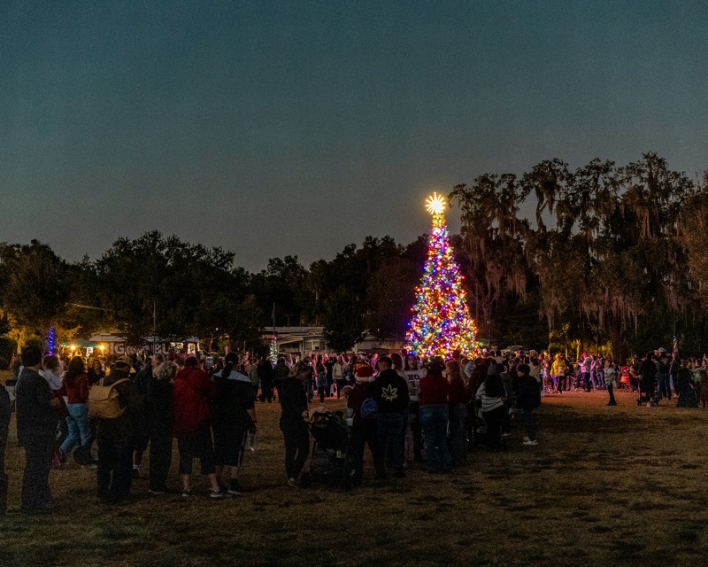 Example image: a crowd gathered around a lit Christmas tree at dusk